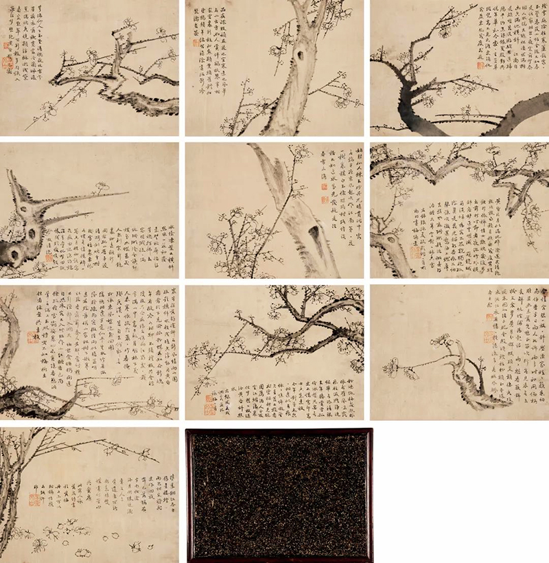 2020網(wǎng)絡(luò)首拍8月3日舉槌