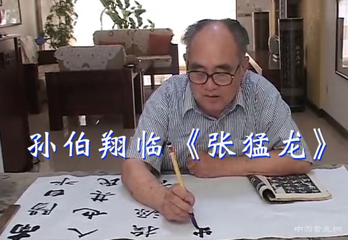 孫伯翔講授楷書技法與創(chuàng)作并示范視頻集合
