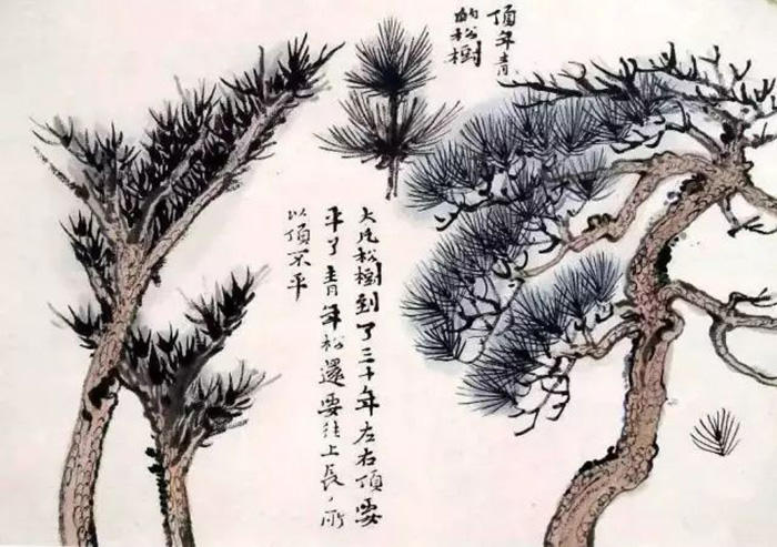 陸儼少課徒稿之樹法