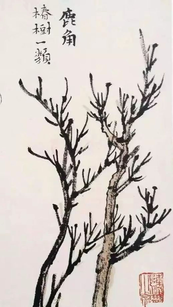 陸儼少課徒稿之樹法