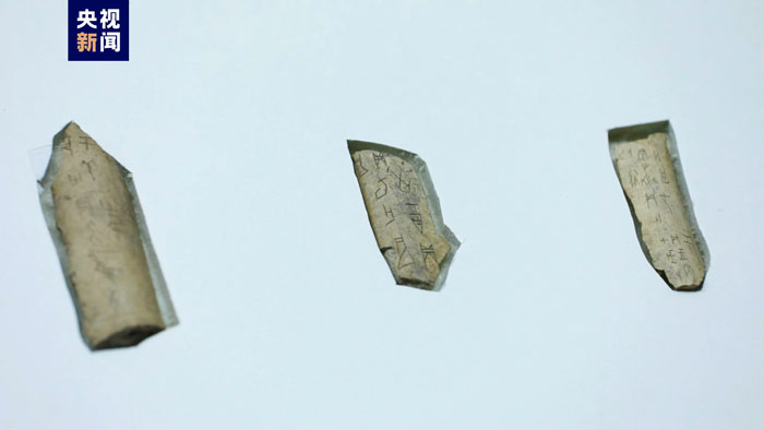 甲骨單字等你來“破譯” 認出獎勵10萬元