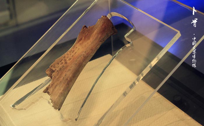 甲骨單字等你來“破譯” 認出獎勵10萬元