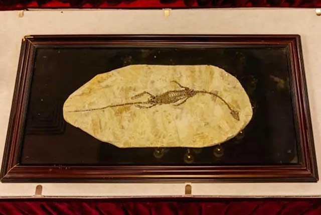 澳大利亞國家美術館首次向中國返還文物藝術品