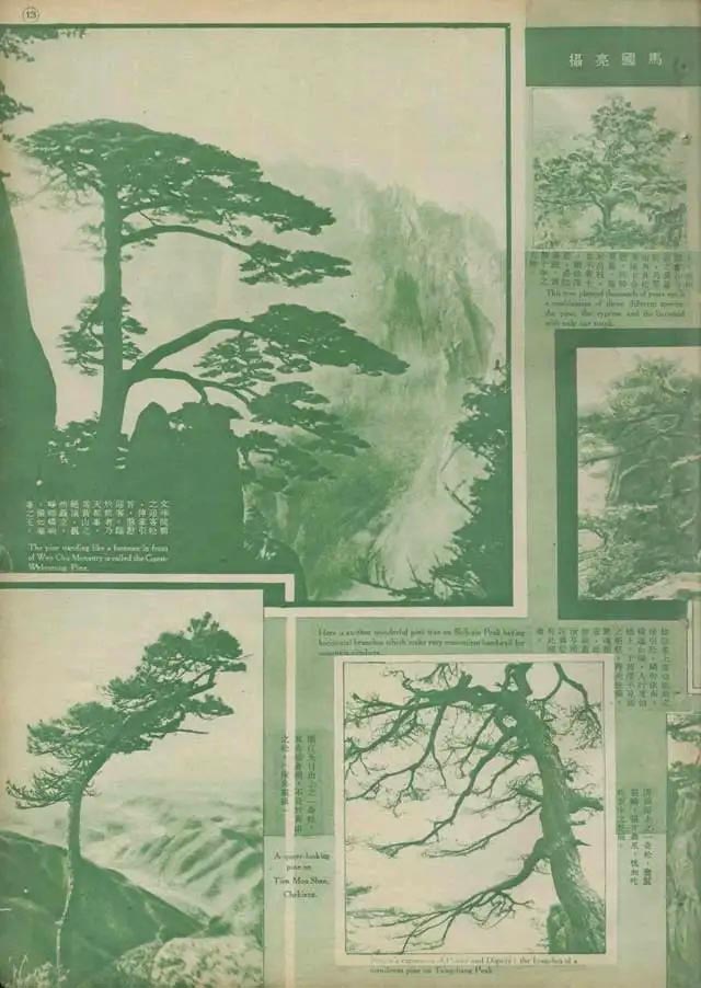 "海派"畫家黃山圖與寫生觀念—兼論石濤在近代畫壇的影響