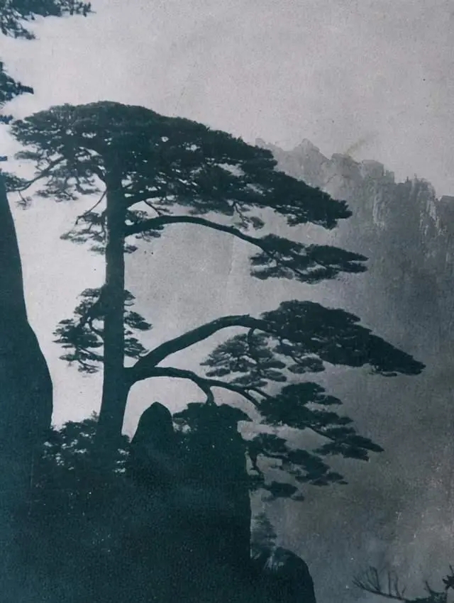 "海派"畫家黃山圖與寫生觀念—兼論石濤在近代畫壇的影響