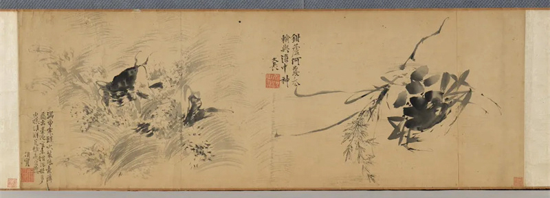 河上花:中國花鳥畫之道特展揭幕 13米八大山人《河上花》全卷呈現(xiàn)