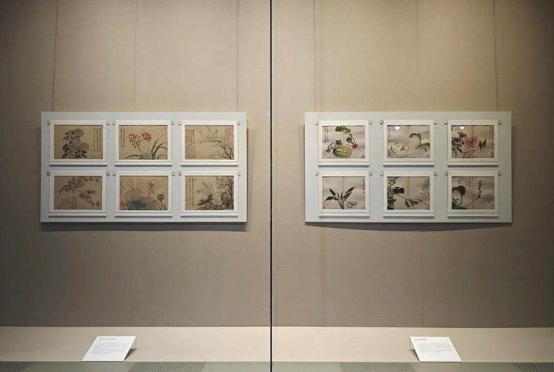 河上花:中國花鳥畫之道特展揭幕 13米八大山人《河上花》全卷呈現(xiàn)