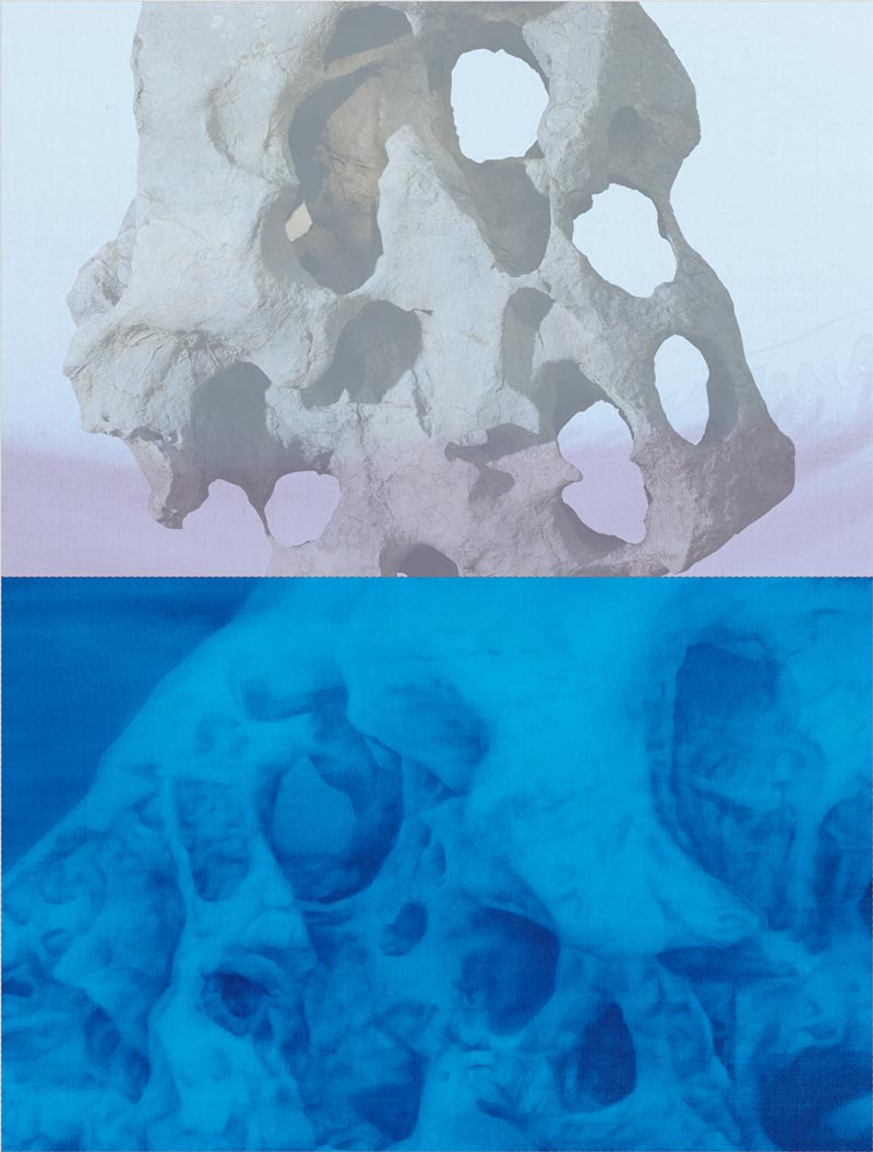 西泠20周年春拍即將啟幕 28大專場精彩綻放